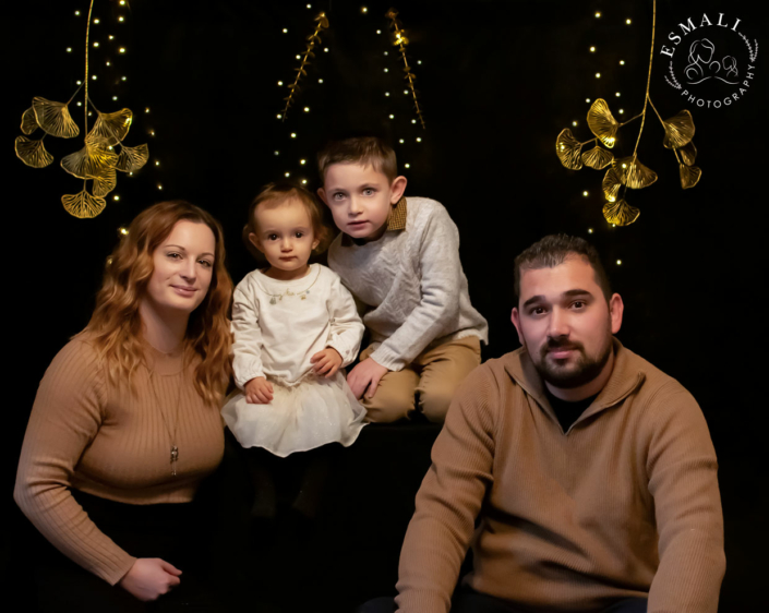 Séance photo en studio sur le thème "Noël chic".