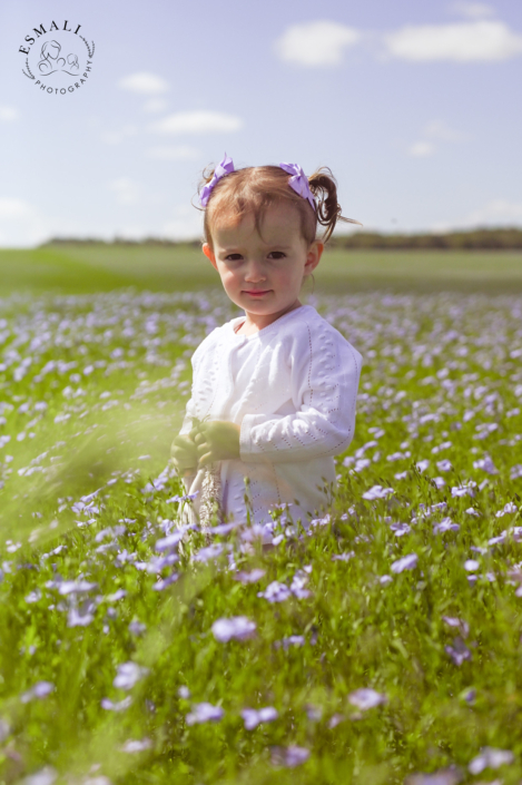 Photographe famille Sézanne